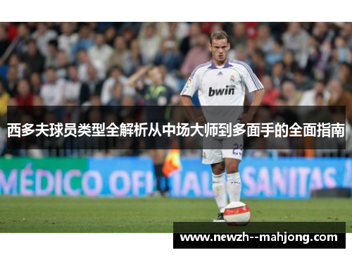 西多夫球员类型全解析从中场大师到多面手的全面指南 西多夫球员类型全解析从中场大师到多面手的全面指南